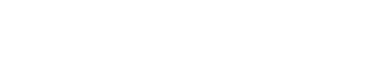 syner logo